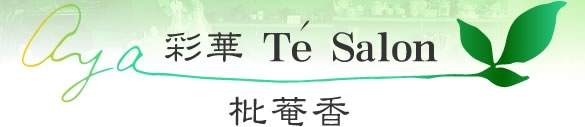 ʉ؁@Te Salon 位